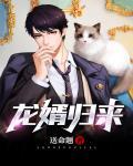龙婿