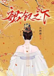裙钗之下免费阅读