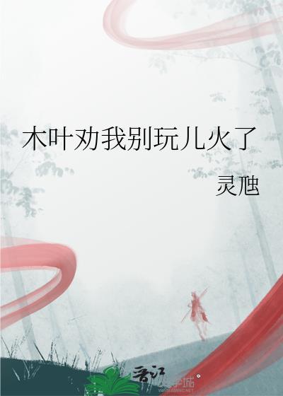 你们木叶真会玩