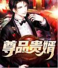 尊品贵婿周毅洛宁在线阅读