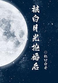 被白月光抢婚后txt全本免费阅读