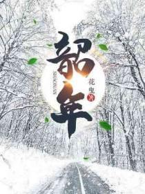 官场风流往事以梦韶年