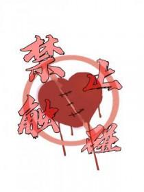 禁止触碰的提示