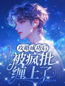 攻略成功以后txt