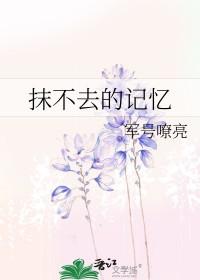 抹不去的回忆作文600字