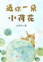 送你一朵小花的歌词