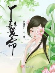 丫鬟命免费阅读