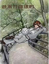 综漫排球少年的