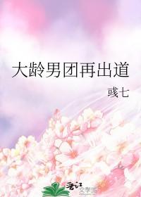 大龄男团再出道免费阅读