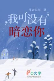 我没暗恋你txt