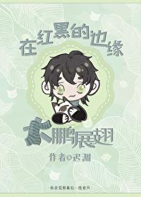 在红黑的边缘大鹏展翅TXT