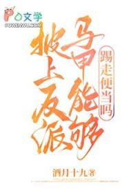 披着马甲的道侣(穿越)