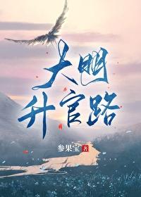 大明官场
