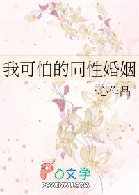 我可怕的同性婚姻免费阅读