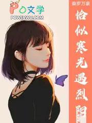 恰似寒光遇骄阳吧