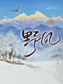 野风车读后感