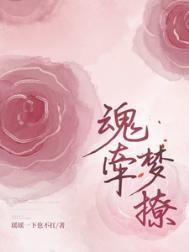 魂牵梦什么?