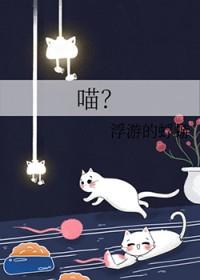 喵呜次元官方