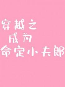 穿越之成为命定小夫郎免费阅读