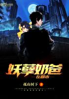 妖孽奶爸在都市3