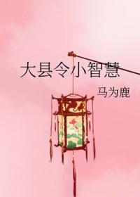 大县令小仵作百科