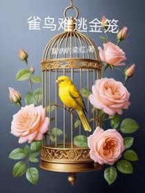 雀鸟难逃金笼第一部