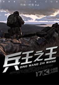 兵王之王七品TXT链接