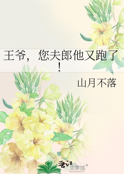 王爷夫人又跑了免费阅读七猫
