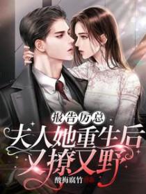 报告厉总夫人又离家出走了