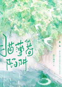 猫薄荷陷阱免费完整版