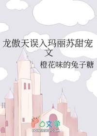 当龙傲天拿了玛丽苏剧本