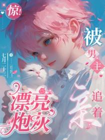 漂亮炮灰抢走了霸总男主