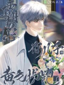 你儿子被黄毛拐跑了免费阅读