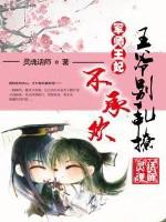 王爷x军师