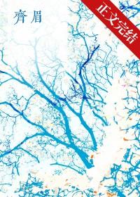 齐眉什么什么成语