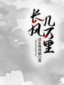 长风几万里吹度玉门关的意思