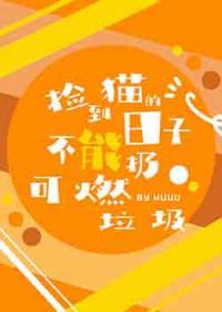 捡到猫预示什么风水