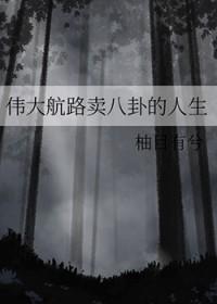 海贼王同人伟大航路卖八卦的人生