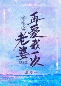 重生之老婆我错了免费阅读全文