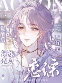 漂亮炮灰无弹幕
