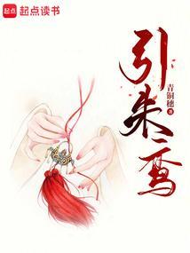 引朱鸾讲的是什么