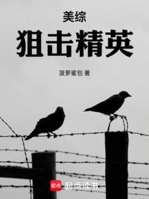 狙击精英美版有中文吗