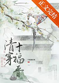 清穿十福晋推荐文