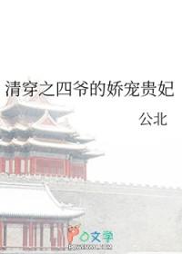清穿之四爷的娇宠贵妃笔趣阁