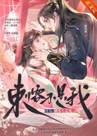 将军攻×刺客受