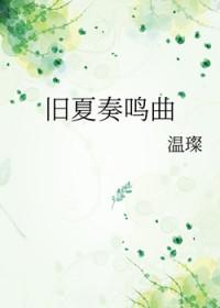 夏与东的奏鸣曲