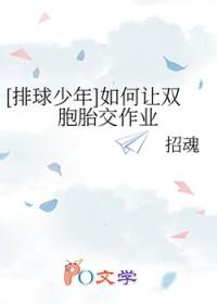 排球少年双二传集数
