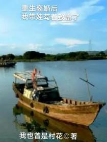 重生离婚后我带娃芶着致富了笔趣阁