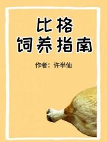 比格饲养指南by许半仙讲的什么