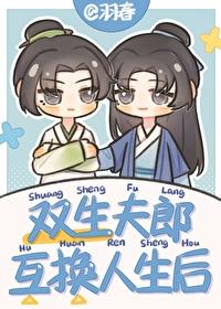 双生子互换人生后